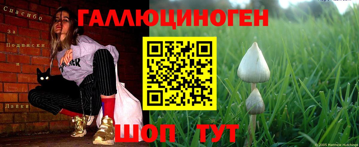 Галлюциногенные грибы ЛСД Учалы